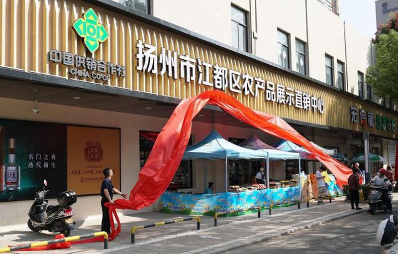 生态农业怎么落地？从土壤改良到农产品直销的全链条实践