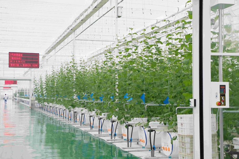 生态农业怎么走？从土壤到餐桌的可持续农业实践路径